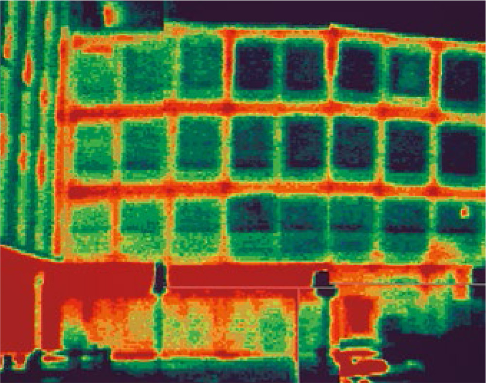 termografia edifici